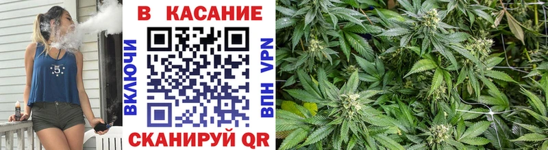 Галлюциногенные грибы Высоковск