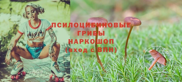 скорость Инсар
