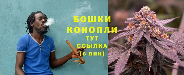 MESCALINE Иннополис