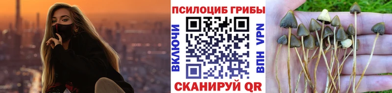 Псилоцибиновые грибы мухоморы Купить где Высоковск